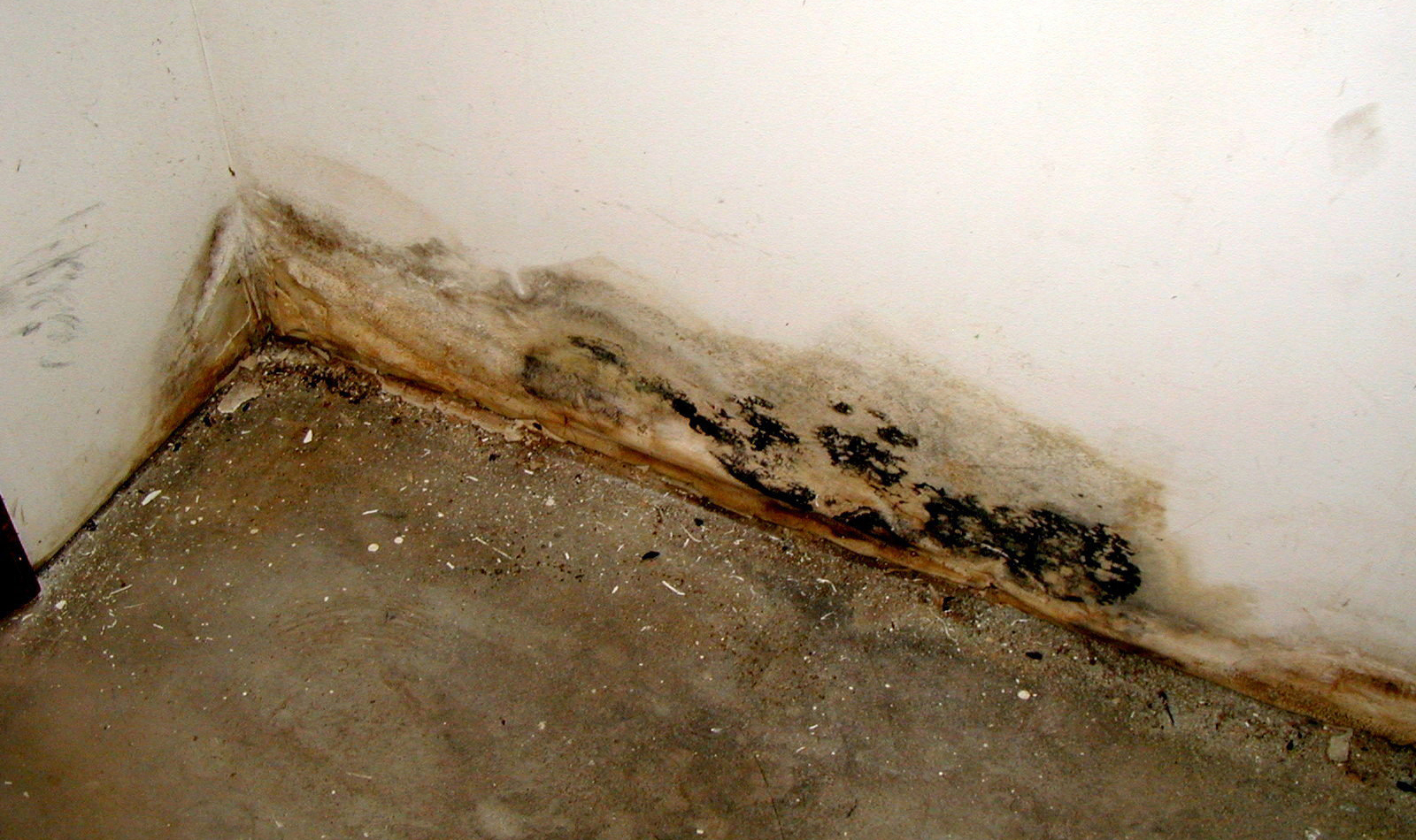 Barrier Waterproofing Systems Inc.
